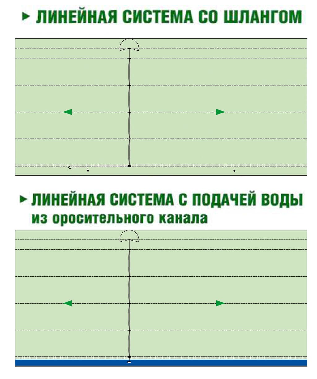 Линейная система